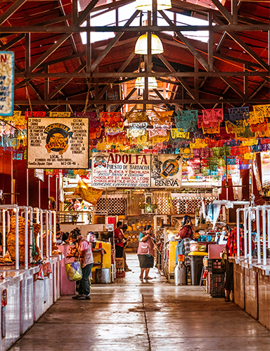 Desarrollo de comunidades indígenas